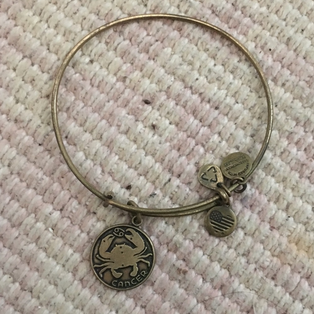 Alex and Ani bracelet